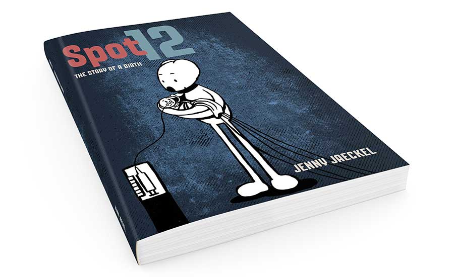Spot 12 redesigned book cover
