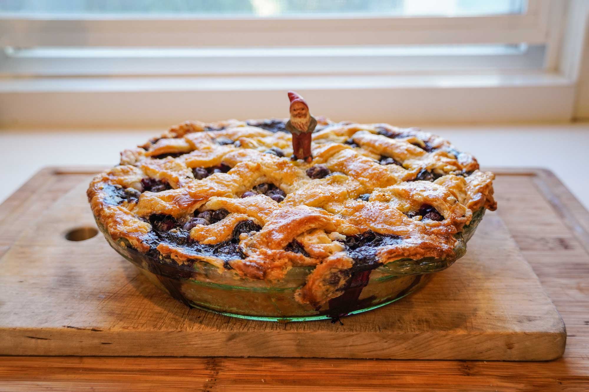 Photo of a blueberry pie with a garden gnome standing on top.