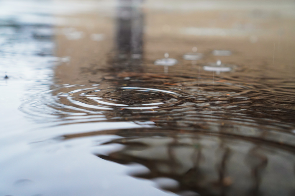 Photo of a rain puddle.