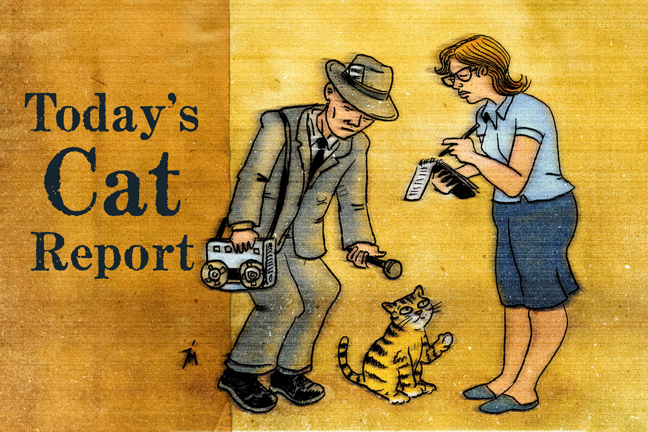 Image of two reporters interviewing a cat.