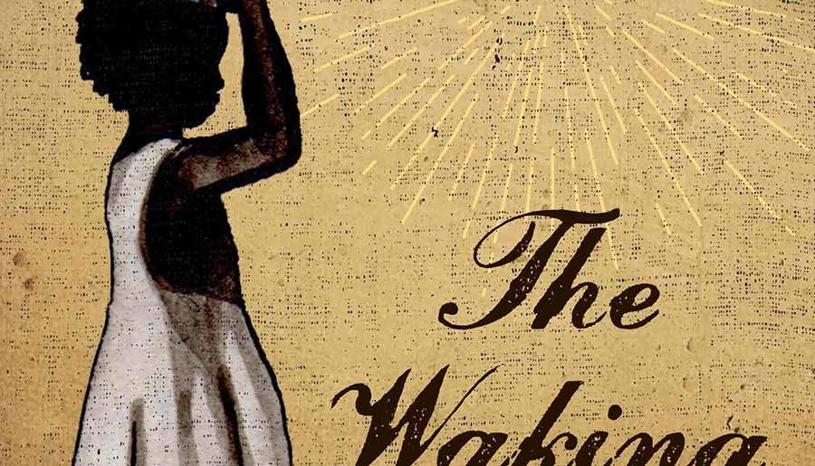close up of newly designed book cover, Waking Star